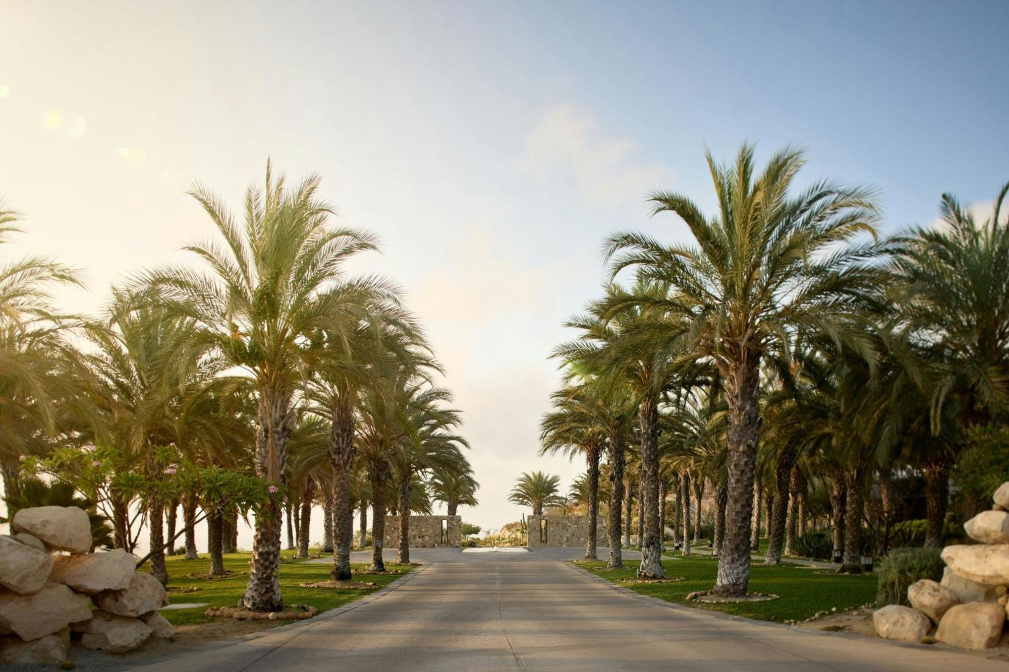 Zadun, A Ritz-Carlton Reserve San José del Cabo Εξωτερικό φωτογραφία