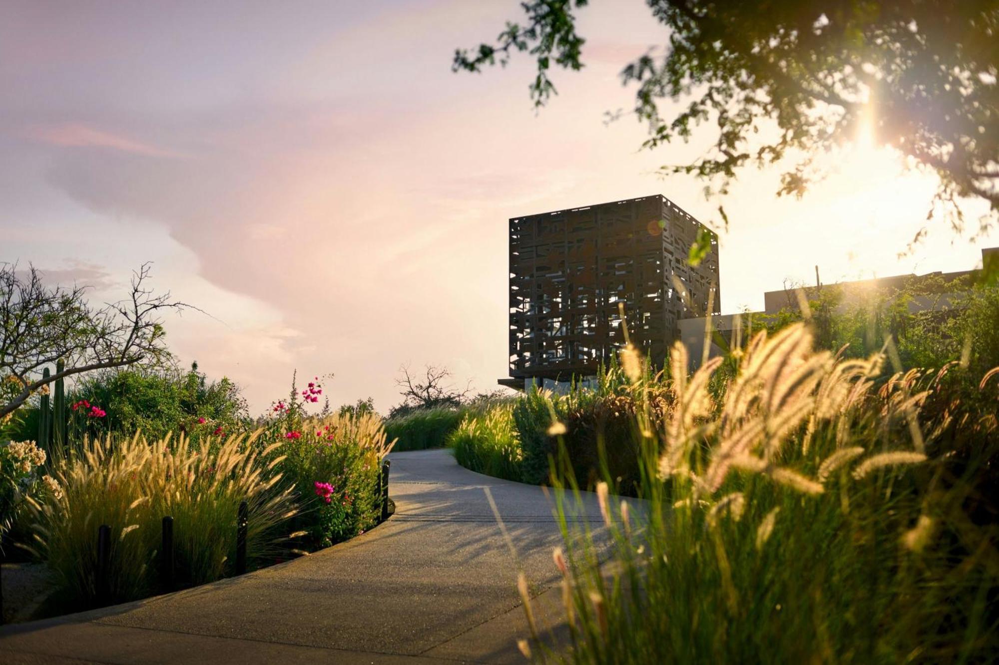 Zadun, A Ritz-Carlton Reserve San José del Cabo Εξωτερικό φωτογραφία